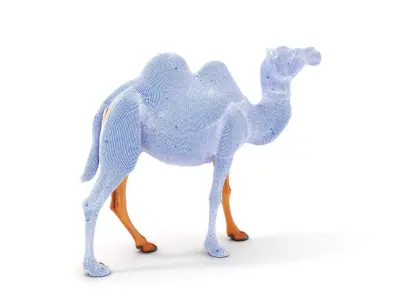 D Camel Model Pack with Detailed Fur Texture Low-poly 3D model