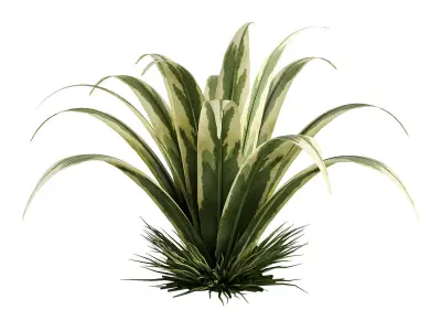 plant 6-2 3D model