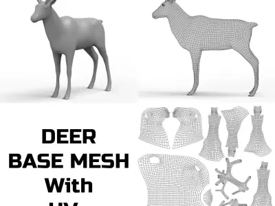 Deer Base Mesh Low-poly 3D model