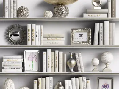Decor Set 9 shelf with books and flowers 3D model