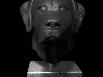 Labrador Male Head Portrait  STL-3D Printing Model High Polygon 3D print model