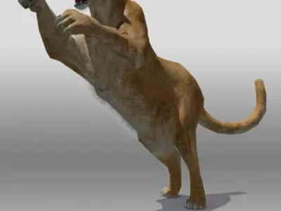 Mountain Lion 3D model