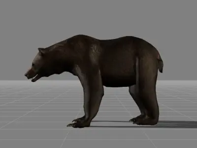 Bear v1 Low-poly 3D model