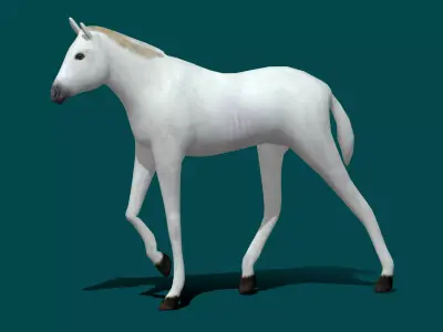 Foal Horse Animal Low-poly 3D model