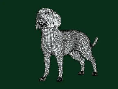 Bavarian Mountain Hound Dog Breed 3D model