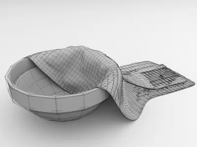 Cloth In Bowl 3D model