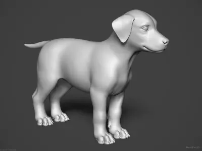 Dog Puppy - Highpoly Sculpture 3D model