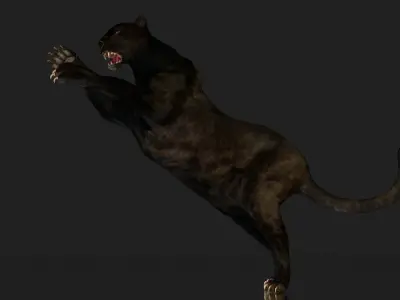 Black Panther 3D model  Low-poly 3D model