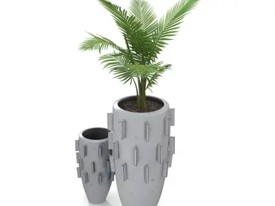 Areca Palm Ari Planter  PBR 3D model