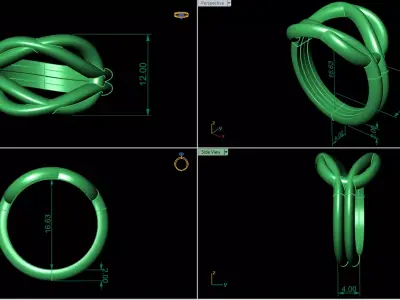 Elegant Intertwined Knot Ring File Item 71 3D print model