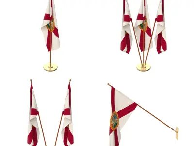 Florida Flag Pack 3D model