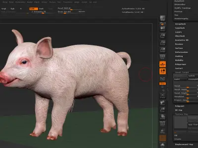 Pig Piglet model 3D model