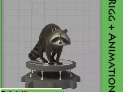 Raccoon on platform 3D model