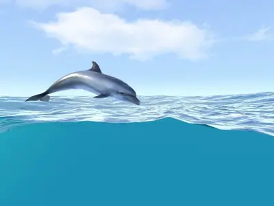 Happy dolphins - animated 3D model