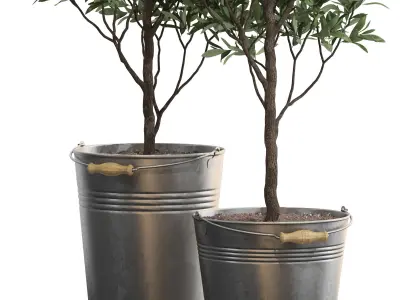 Plants collection 733 3D model