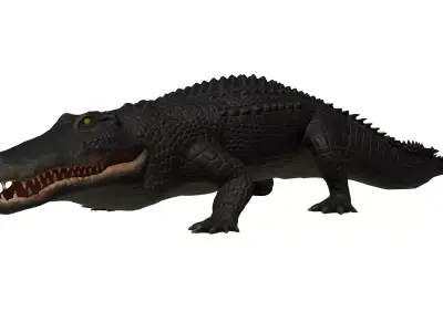 Alligator Low-poly 3D model get