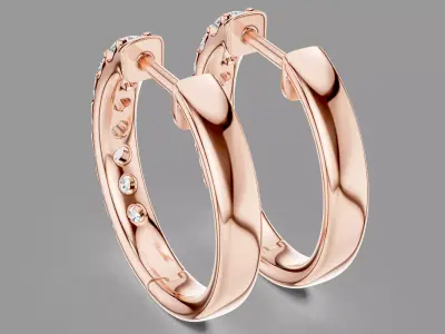  Diamond Hoops 3D print model