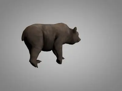 Grizzly Bear Low-poly 3D model shop