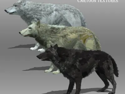Wolf Animated Low-poly 3D model