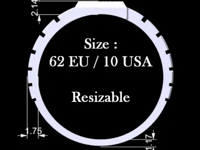 Simple Luxury Ring for men 3D print model