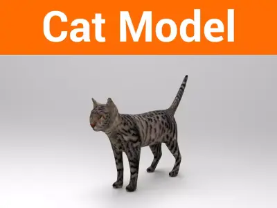 3D Pet Cat Model  Low-poly 3D model