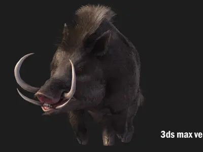 boar pig beast  Low-poly 3D model