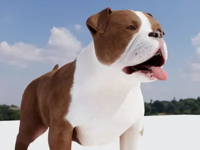 Pitbul Flex 3D model