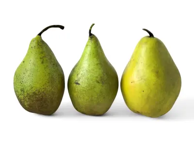 Pears 01 3D model