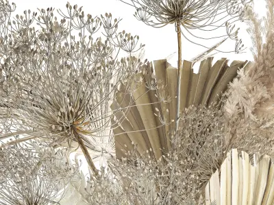 Bouquet Of Dried Flowers Vase Pampas Fern Hogweed 301 3D model