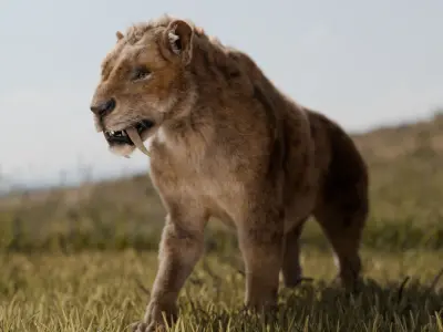 Smilodon Saber-toothed Tiger 3D model