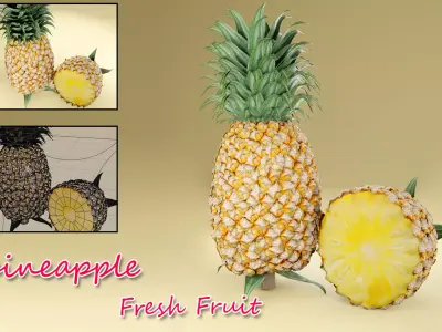  Fresh pineapple Fruit 3D model