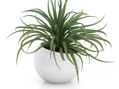 Plant in Sphere Pot 3D model