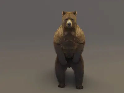 Brown Bear 3D model