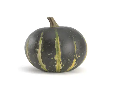 Decorative Pumpkin Gourd 1 3D model