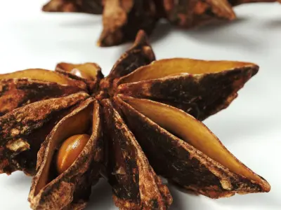 POLYPASTA - Star anice 01 3D model