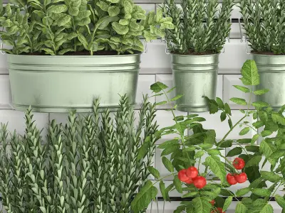 Decorative plants for the kitchen on railing 380 3 3D model