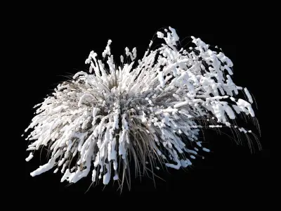 Miscanthus sinensis large pack 3D model