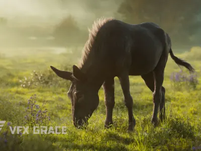 Donkey Summer Animation VFX Grace 3D model