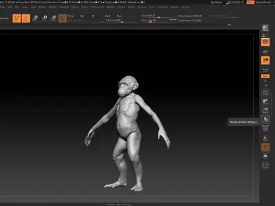 young male monkey 3D model