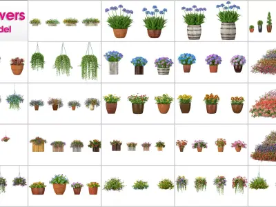 24 Flowers Collection 3D model