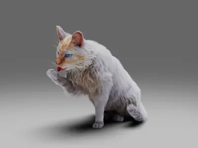 Fur Cat White Rigged Low-poly 3D model