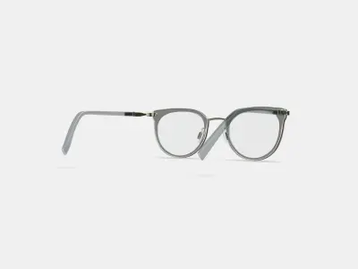 Whittier Eyeglasses in Soapstone with Riesling 3D model