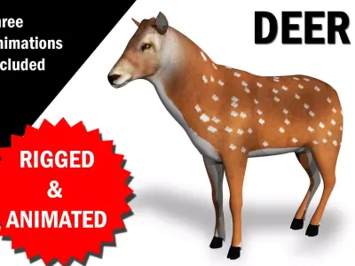 Deer Rigged and Animated 3D model
