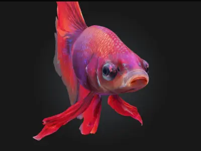 Betta Elegance Detailed Betta Fish Model for Aquarium 3D model