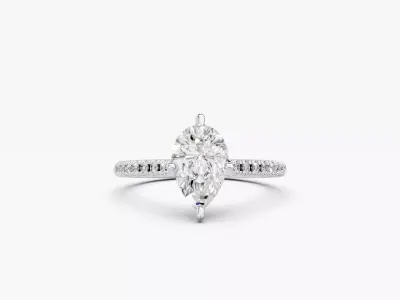 ZABS0013B PS engagement 3D print model