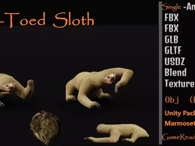 Two Toed Sloth Low-poly 3D model