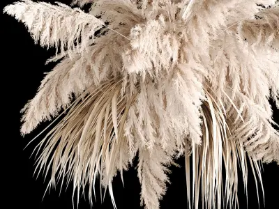 Hanging Bouquet Of Dry Reeds For Decoration 267 3D model