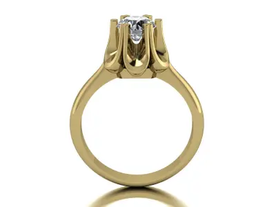 Jewelry Ring Gold 3D print model order