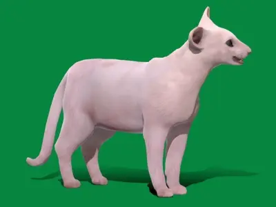 Oriental Longhair Cat Low-poly 3D model
