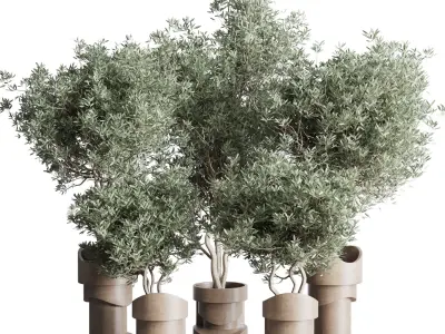 Collection indoor plant 265 plant tree bush vase concrete vase 3D model